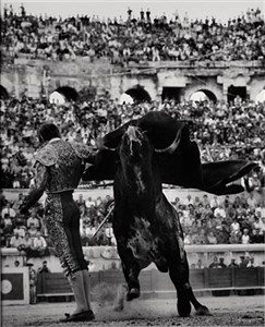 Image description is not available for 1998.038